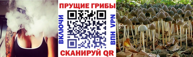 Псилоцибиновые грибы мухоморы Глазов