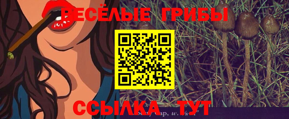 Галлюциногенные грибы Cubensis Глазов