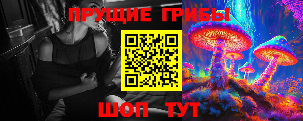 Псилоцибиновые грибы прущие грибы  закладки  Глазов  Вход с VPN  Галлюциногенные грибы Psilocybe 